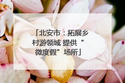 北安市：拓展乡村游领域 提供“微度假”场所