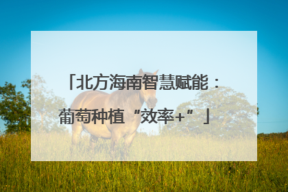 北方海南智慧赋能：葡萄种植“效率+”