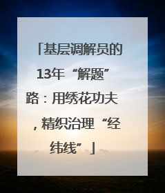 基层调解员的13年“解题”路：用绣花功夫，精织治理“经纬线”