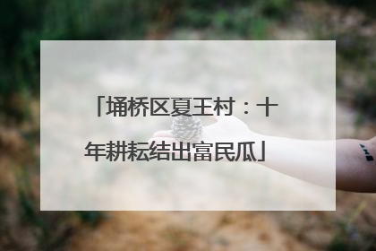 埇桥区夏王村：十年耕耘结出富民瓜