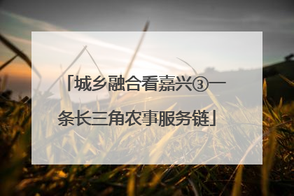 城乡融合看嘉兴③一条长三角农事服务链