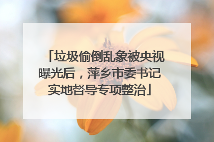 垃圾偷倒乱象被央视曝光后，萍乡市委书记实地督导专项整治