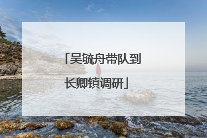 吴毓舟带队到长卿镇调研