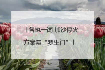 各执一词 加沙停火方案陷“罗生门”