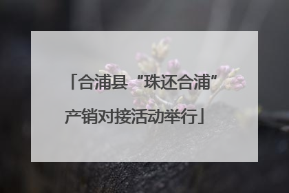 合浦县“珠还合浦”产销对接活动举行