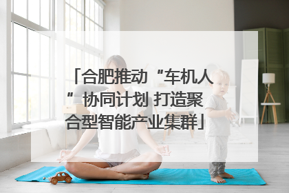 合肥推动“车机人”协同计划 打造聚合型智能产业集群