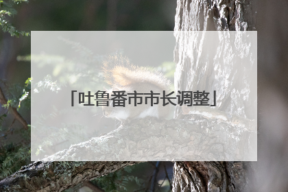 吐鲁番市市长调整