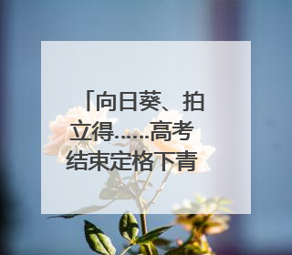 向日葵、拍立得……高考结束定格下青春的这个瞬间是& 8594;｜2025四川高考