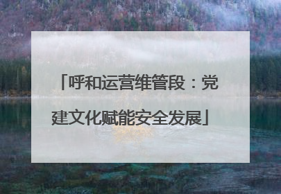 呼和运营维管段：党建文化赋能安全发展