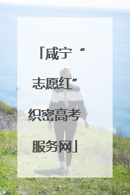 咸宁“志愿红”织密高考服务网