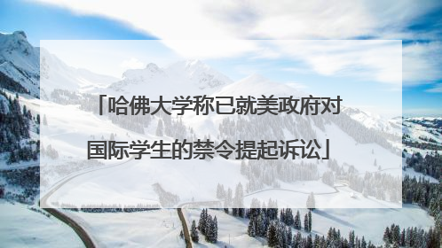 哈佛大学称已就美政府对国际学生的禁令提起诉讼