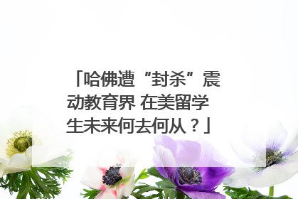 哈佛遭“封杀”震动教育界 在美留学生未来何去何从？