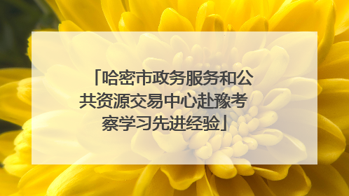 哈密市政务服务和公共资源交易中心赴豫考察学习先进经验