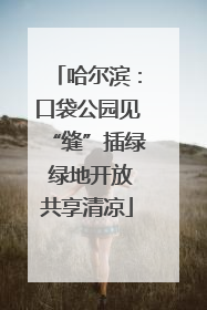 哈尔滨：口袋公园见“缝”插绿 绿地开放共享清凉