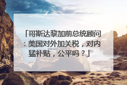 哥斯达黎加前总统顾问：美国对外加关税，对内猛补贴，公平吗？