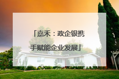 嘉禾：政企银携手赋能企业发展