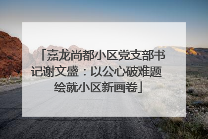 嘉龙尚都小区党支部书记谢文盛：以公心破难题 绘就小区新画卷