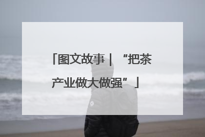 图文故事|“把茶产业做大做强”