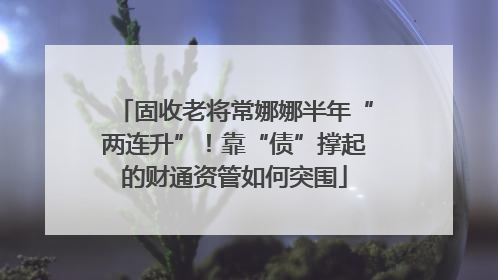 固收老将常娜娜半年“两连升”！靠“债”撑起的财通资管如何突围