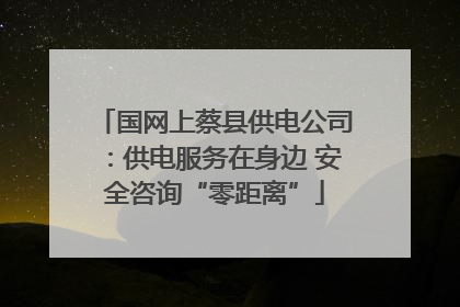 国网上蔡县供电公司：供电服务在身边 安全咨询“零距离”