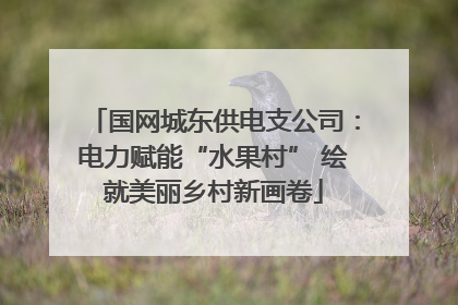 国网城东供电支公司：电力赋能“水果村” 绘就美丽乡村新画卷