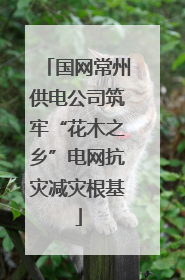 国网常州供电公司筑牢“花木之乡”电网抗灾减灾根基