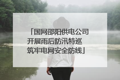 国网邵阳供电公司开展雨后防汛特巡 筑牢电网安全防线
