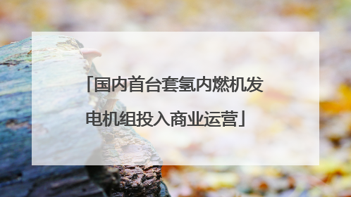 国内首台套氢内燃机发电机组投入商业运营