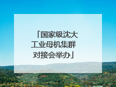 国家级沈大工业母机集群对接会举办