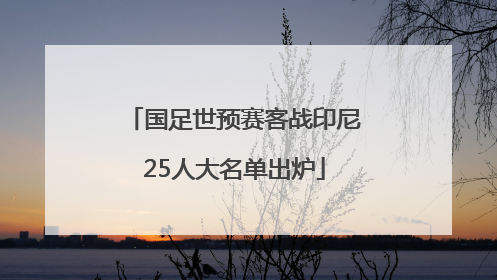 国足世预赛客战印尼25人大名单出炉
