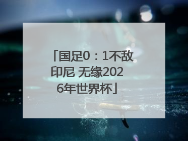 国足0：1不敌印尼 无缘2026年世界杯