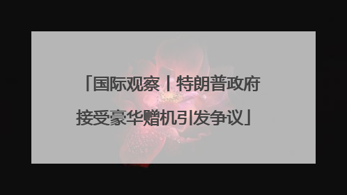 国际观察丨特朗普政府接受豪华赠机引发争议