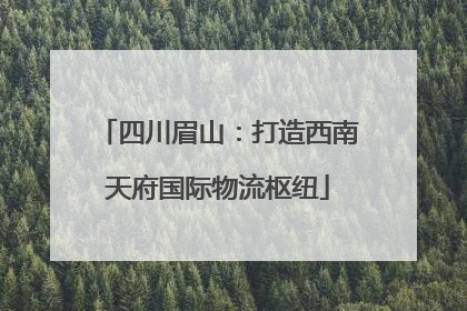四川眉山：打造西南天府国际物流枢纽