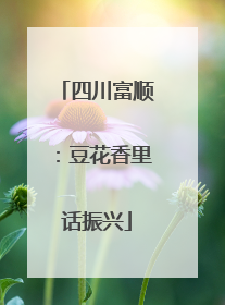 四川富顺：豆花香里话振兴