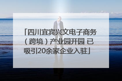 四川宜宾兴文电子商务（跨境）产业园开园 已吸引20余家企业入驻
