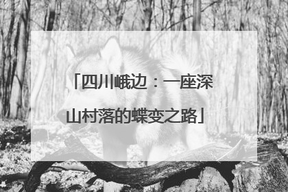 四川峨边：一座深山村落的蝶变之路