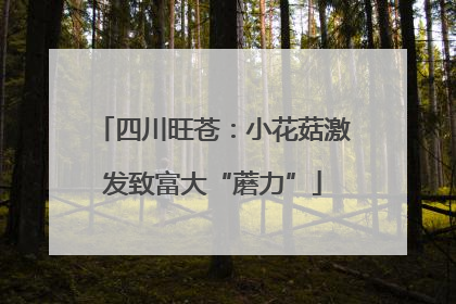 四川旺苍：小花菇激发致富大“蘑力”