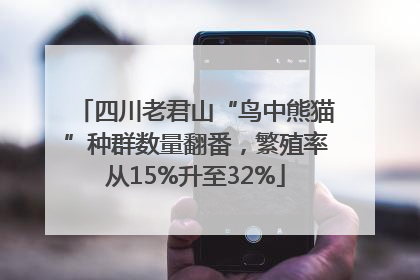 四川老君山“鸟中熊猫”种群数量翻番，繁殖率从15%升至32%