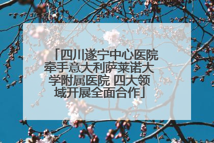 四川遂宁中心医院牵手意大利萨莱诺大学附属医院 四大领域开展全面合作