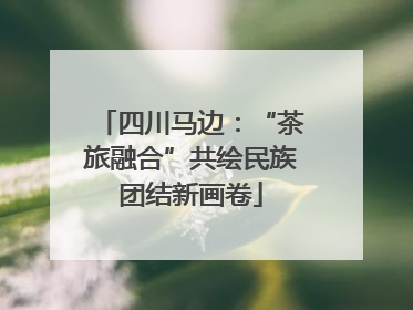 四川马边：“茶旅融合”共绘民族团结新画卷