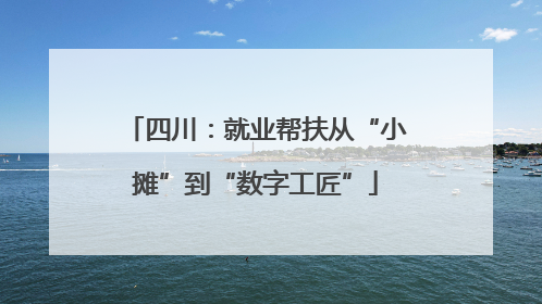 四川：就业帮扶从“小摊”到“数字工匠”