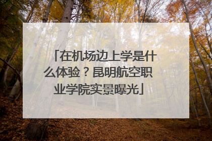 在机场边上学是什么体验？昆明航空职业学院实景曝光