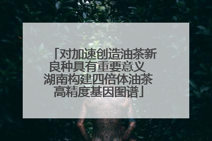 对加速创造油茶新良种具有重要意义 湖南构建四倍体油茶高精度基因图谱