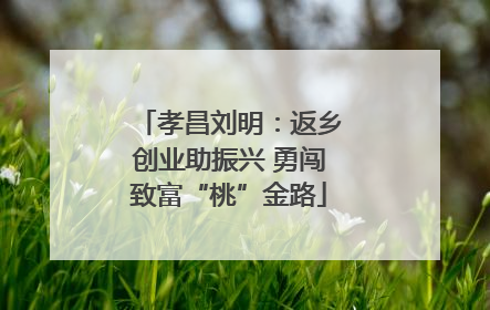 孝昌刘明：返乡创业助振兴 勇闯致富“桃”金路
