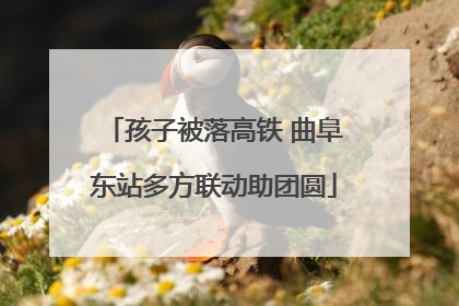 孩子被落高铁 曲阜东站多方联动助团圆