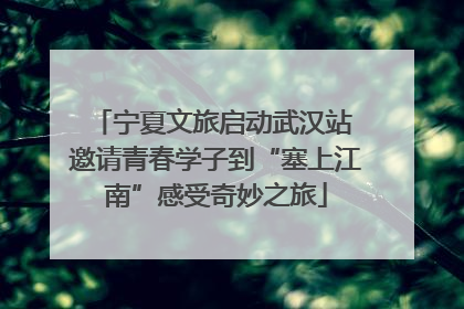 宁夏文旅启动武汉站 邀请青春学子到“塞上江南”感受奇妙之旅