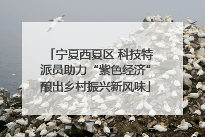 宁夏西夏区 科技特派员助力“紫色经济”酿出乡村振兴新风味