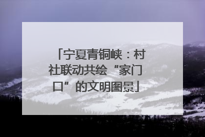 宁夏青铜峡：村社联动共绘“家门口”的文明图景