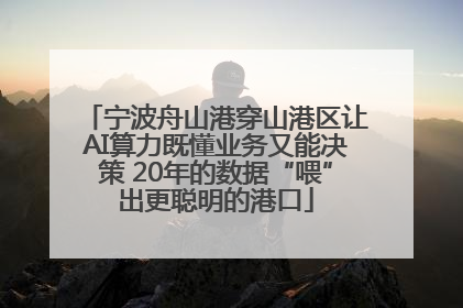 宁波舟山港穿山港区让AI算力既懂业务又能决策 20年的数据“喂”出更聪明的港口