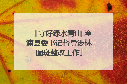 守好绿水青山 漳浦县委书记督导涉林图斑整改工作